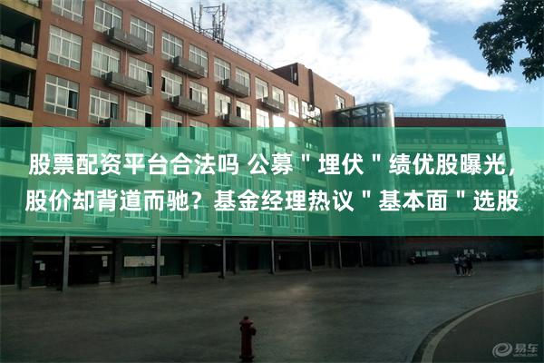 股票配资平台合法吗 公募"埋伏"绩优股曝光,股价却背道而驰?基金经理热议"基本面"选股