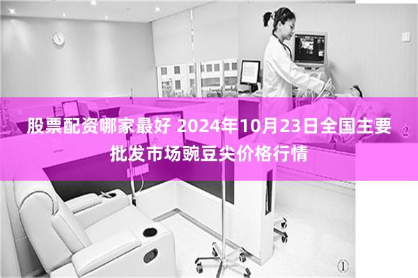 股票配资哪家最好 2024年10月23日全国主要批发市场豌豆尖价格行情