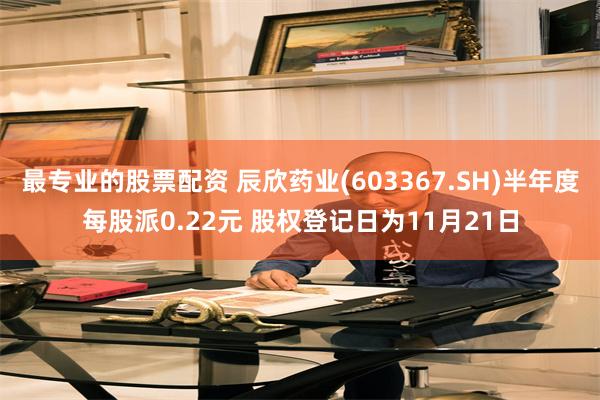 最专业的股票配资 辰欣药业(603367.SH)半年度每股派0.22元 股权登记日为11月21日
