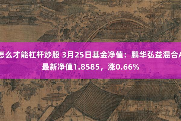 怎么才能杠杆炒股 3月25日基金净值：鹏华弘益混合A最新净值1.8585，涨0.66%