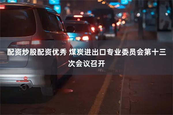 配资炒股配资优秀 煤炭进出口专业委员会第十三次会议召开