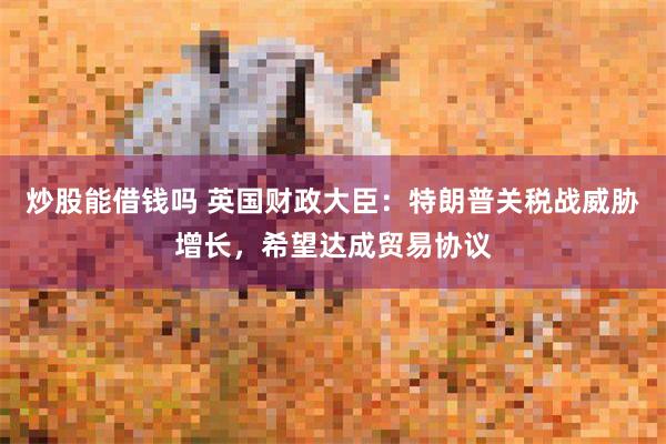 炒股能借钱吗 英国财政大臣：特朗普关税战威胁增长，希望达成贸易协议