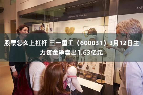 股票怎么上杠杆 三一重工（600031）3月12日主力资金净