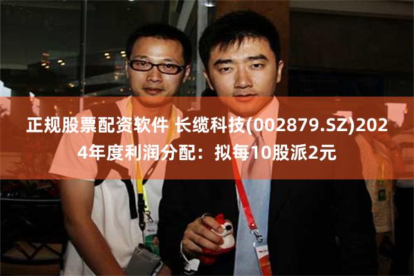 正规股票配资软件 长缆科技(002879.SZ)2024年度利润分配：拟每10股派2元