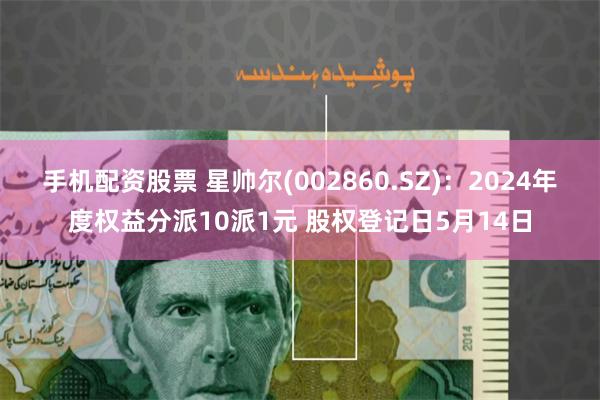 手机配资股票 星帅尔(002860.SZ)：2024年度权益