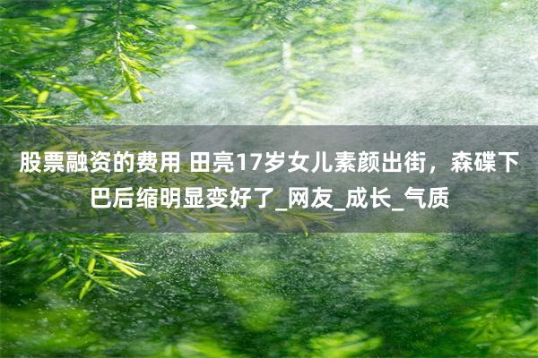 股票融资的费用 田亮17岁女儿素颜出街，森碟下巴后缩明显变好