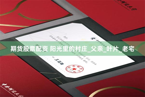 期货股票配资 阳光里的村庄_父亲_叶片_老宅