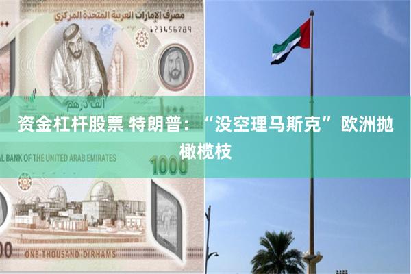 资金杠杆股票 特朗普：“没空理马斯克” 欧洲抛橄榄枝