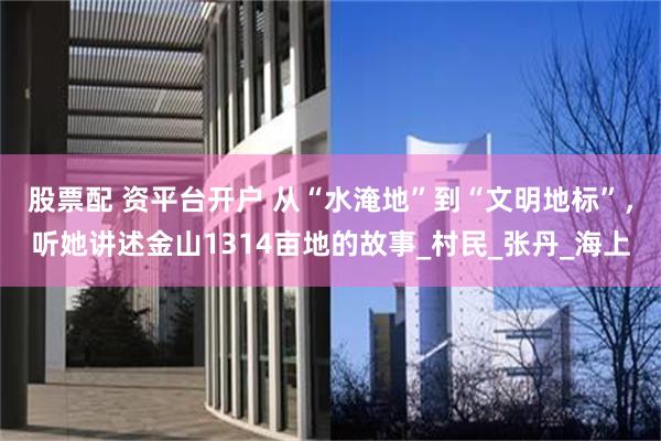股票配 资平台开户 从“水淹地”到“文明地标”，听她讲述金山1314亩地的故事_村民_张丹_海上
