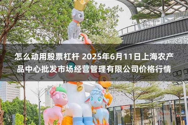 怎么动用股票杠杆 2025年6月11日上海农产品中心批发市场经营管理有限公司价格行情