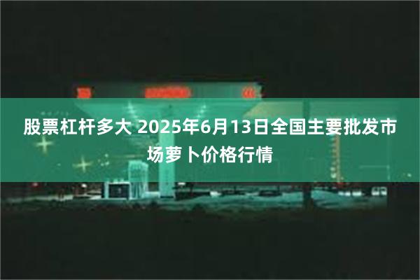 股票杠杆多大 2025年6月13日全国主要批发市场萝卜价格行