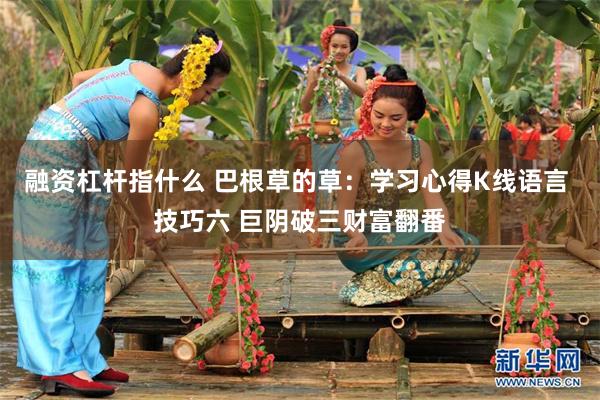 融资杠杆指什么 巴根草的草：学习心得K线语言 技巧六 巨阴破三财富翻番