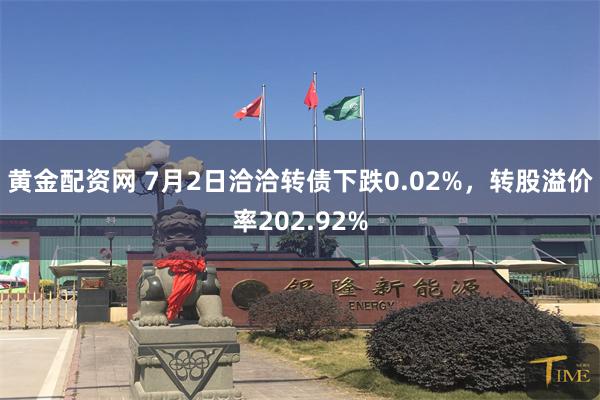 黄金配资网 7月2日洽洽转债下跌0.02%，转股溢价率202.92%