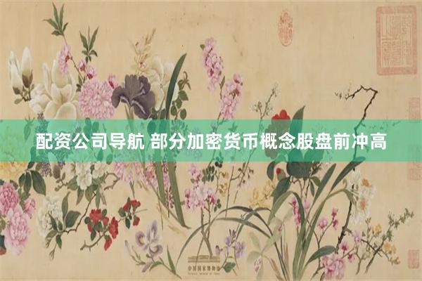 配资公司导航 部分加密货币概念股盘前冲高