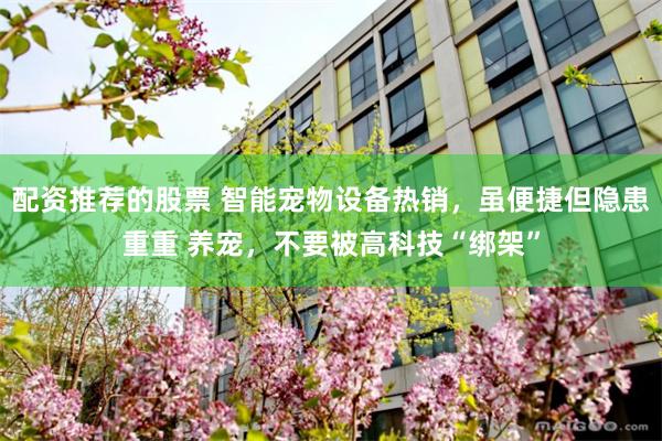 配资推荐的股票 智能宠物设备热销，虽便捷但隐患重重 养宠，不要被高科技“绑架”