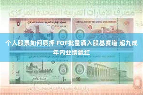 个人股票如何质押 FOF批量涌入股基赛道 超九成年内业绩飘红